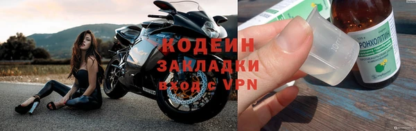 прущие грибы Киренск