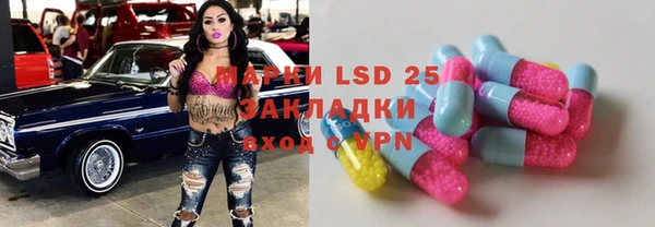 прущие грибы Киренск