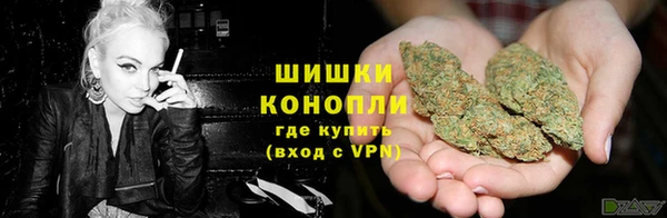 прущие грибы Киренск