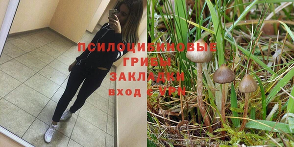 кокаин премиум Дубна