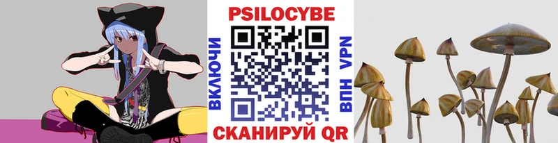 Купить  Калининск  Псилоцибиновые грибы Magic Shrooms 